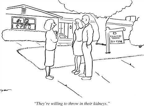 Real Estate Humor by Stephen M. Fells