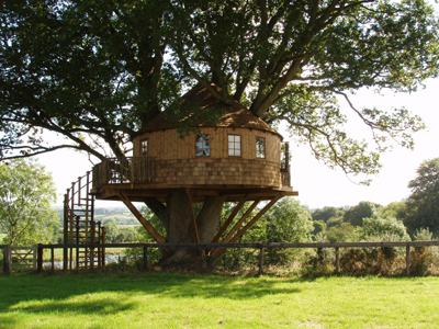 Tree House 4