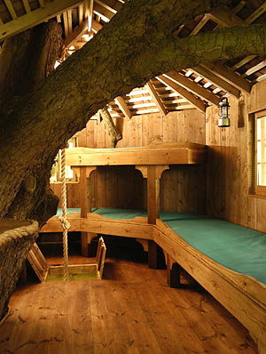 Tree House 6