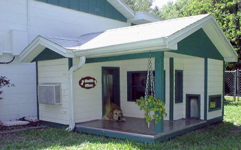 Amazing Dog Houses. Rich dogs should have a nice home to love in too